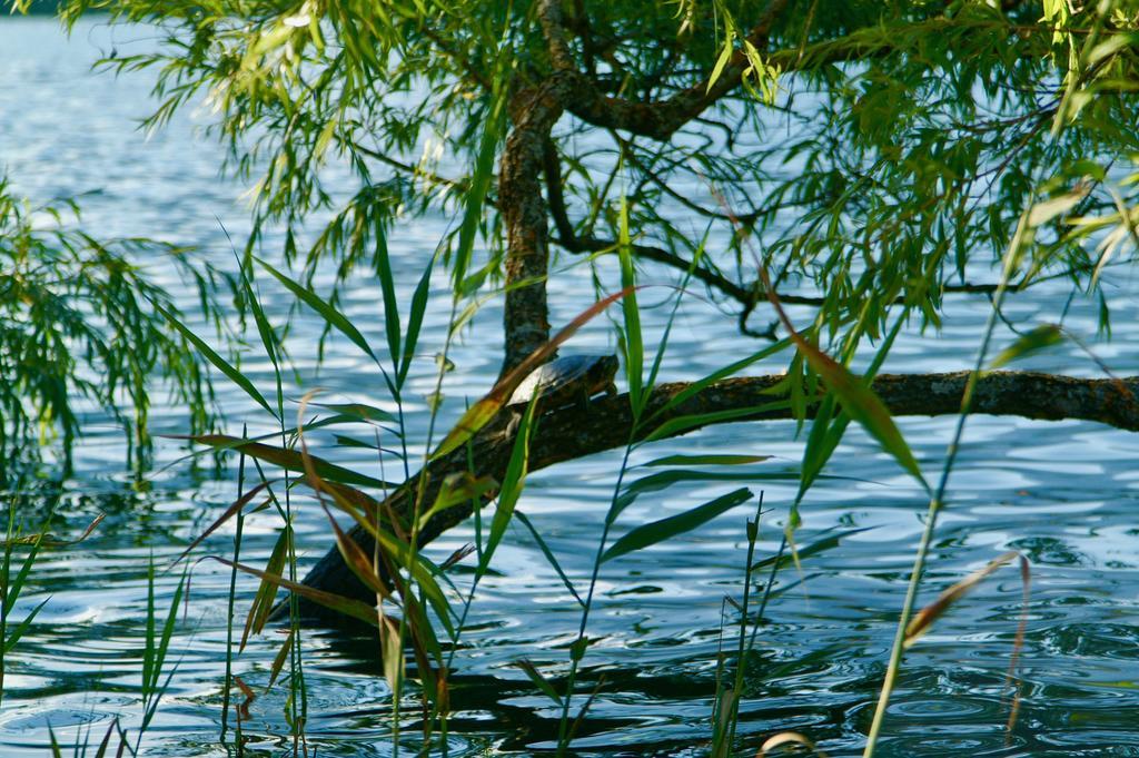 Waldstrand Berger Hébergement de vacances *